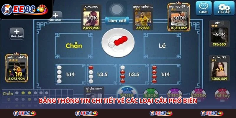 Bảng thông tin chi tiết về các loại cầu phổ biến