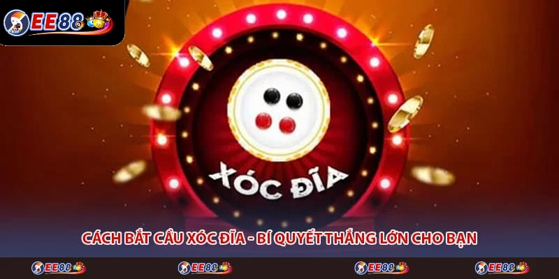 Cách Bắt Cầu Xóc Đĩa - Bí Quyết Thắng Lớn Cho Bạn