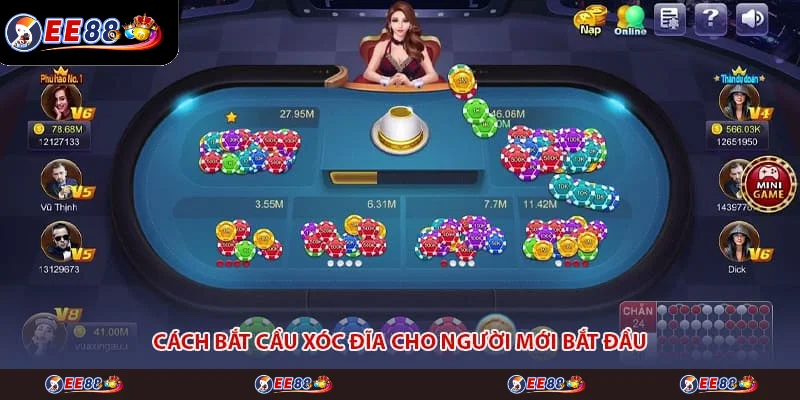 Cách bắt cầu xóc đĩa cho người mới bắt đầu