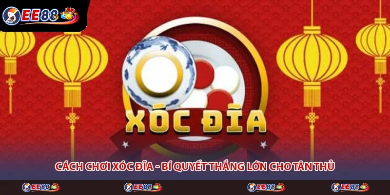 Cách Chơi Xóc Đĩa - Bí Quyết Thắng Lớn Cho Tân Thủ