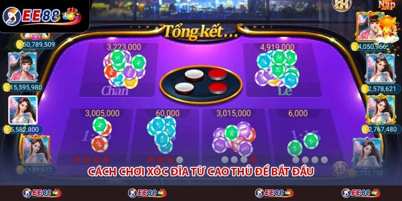 Cách chơi xóc đĩa từ cao thủ để bắt đầu Cách chơi xóc đĩa từ cao thủ để bắt đầu