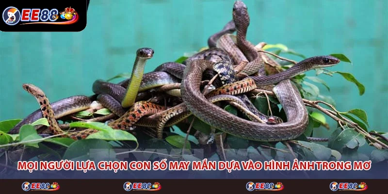 Mọi người lựa chọn con số may mắn dựa vào hình ảnh trong mơ