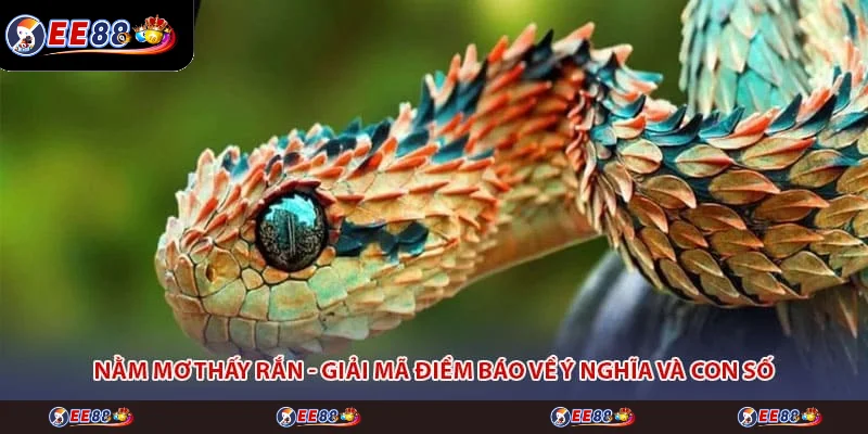 Nằm Mơ Thấy Rắn - Giải Mã Điềm Báo Về Ý Nghĩa Và Con Số