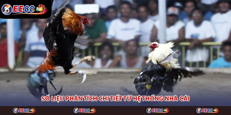 Số liệu phân tích chi tiết từ hệ thống nhà cái Số liệu phân tích chi tiết từ hệ thống nhà cái