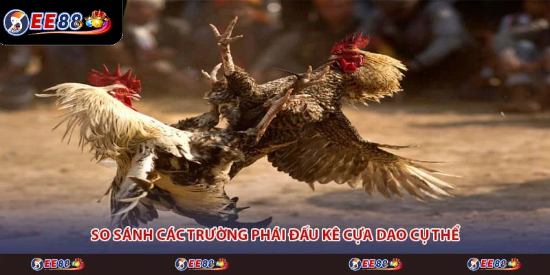 So sánh các trường phái đấu kê cựa dao cụ thể So sánh các trường phái đấu kê cựa dao cụ thể