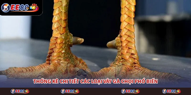 Thống kê chi tiết các loại vảy gà chọi phổ biến