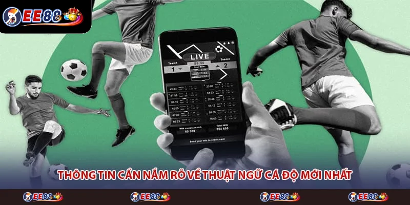 Thông tin cần nắm rõ về thuật ngữ cá độ mới nhất