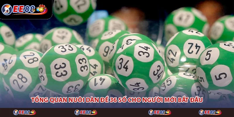 Tổng quan nuôi dàn đề 36 số cho người mới bắt đầu